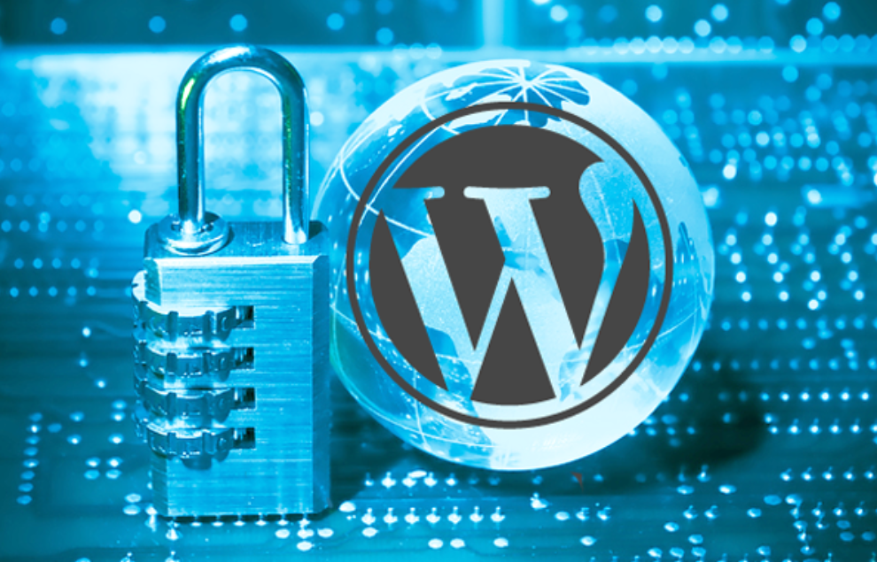 WordPress site security